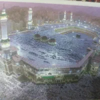 فیش عمره مفرده