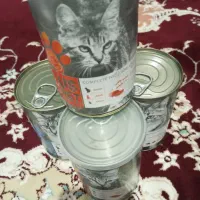 غذای گربه|لوازم جانبی حیوانات|نقده, |دیوار