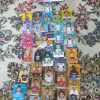 کارت فوتبالی والبومش