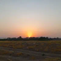 انجام امور نظافتی حیاط و پارکینگ