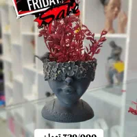 تخفیف بلک فرایدی با مجسمههای دکوری خاص از228تومن|مجسمه، تندیس، ماکت|اصفهان, رکن الدوله غربی|دیوار