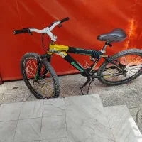 دوچرخه ویوا