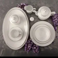 ظروف  سرو و پذیرایی