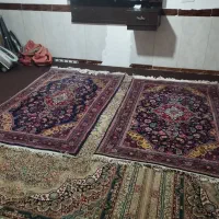 فرش دستبافت ۲ متر در ۱.۳۰ نفیس دو قلو