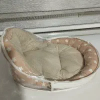 آغوشی و پشه بند