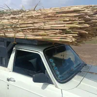 نی فروشی