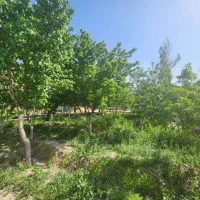 زمین هاشمیه ارتفاعات زو|فروش زمین و ملک کلنگی|مشهد, نیروی هوایی|دیوار