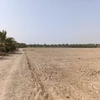 اجاره زمین کشاورزی حاصل خیز