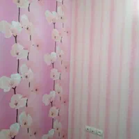 نصب پوستر و کاغذ|خدمات پیشه و مهارت|رشت, نخودچر|دیوار