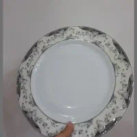 چینی سپیدار