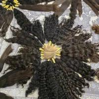 خرید و فروش مو شاخه ای ۲۰تومان تا ۹۰تومان