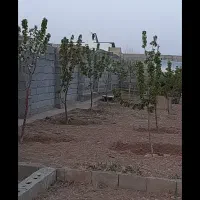 فروش باغ۱۰۰۰ متری نزدیک تبریزقابل تهاتر|فروش خانه و ویلا|صوفیان, |دیوار