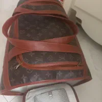 کیف حمل سگ و گربه