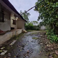 خانه کلنگی ۸ هزار متری|فروش خانه و ویلا|خشکبیجار, |دیوار