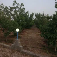 فروش باغچه 1200 متری در خان زنیان دهنو قلندری|فروش زمین و ملک کلنگی|شیراز, شهرک امیر کبیر|دیوار