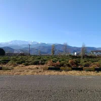 واجارگاه-زیبا-قواره-های-هزارمتر-مسکونی-خوش-منظره