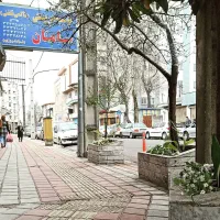 تلفنچی ساده