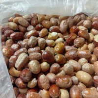 عسل طبیعی وخشکبار کرمانشاه|خوردنی و آشامیدنی|کاشان, فین بزرگ|دیوار