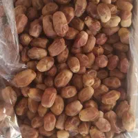 قصب درجه یک . زاهدی . درشت