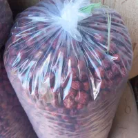 عناب امسالی رسید کیلو ۲۰۰|عمدهفروشی|بم, |دیوار