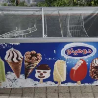 یخچال ایستاده وفریزر بستنی|فروشگاه و مغازه|مشهد, ادیب نیشابوری (شهرک غرب)|دیوار