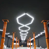 برقکار ، برقکار حرفه ای