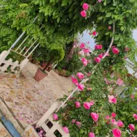 ویلا باغ سند تک برگ مجهز گیلان فومن جاده گشت