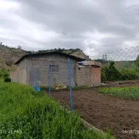 اجاره یا فروش زمین کشاورزی امام زاده محمد رستم کلا|فروش زمین و ملک کلنگی|رستمکلا, |دیوار