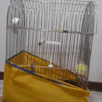 قفس بزرگ|لوازم جانبی حیوانات|پاکدشت, پاکدشت (مامازند)|دیوار