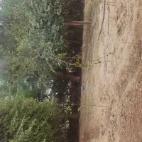 فروش زمین برای باغ ویلا|فروش زمین و ملک کلنگی|شوشتر, |دیوار