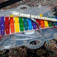 بلز همراه با فُلوت|سازهای بادی|خرم‌آباد, |دیوار