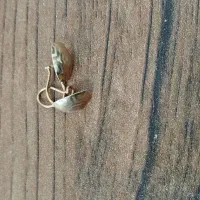 تعویض طلا|جواهرات|زرنه, |دیوار