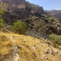 میش گله فروشی