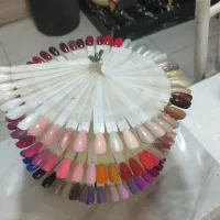 کاشت ناخن با تخفیف|خدمات آرایشگری و زیبایی|شیراز, رکنآباد|دیوار