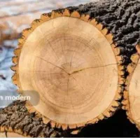 خرید چوب فقط (سیب وسوری )