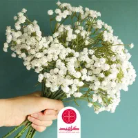 نیاز به کارگر|استخدام صنعتی، فنی، مهندسی|مشهد, میان ولایت|دیوار