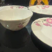 سرویس چینی زرین آک|ظروف سرو و پذیرایی|شاهینشهر, شهرک سایت|دیوار