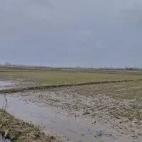 2500مترشالیزارسنتی-قواره-دوم-آسفالت-پرمحصول-ماشک