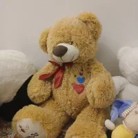 تعداد ۲۰ عدد عروسک در حد نو|اسباب‌‌بازی|اردبیل, |دیوار