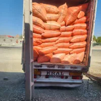 مناسب گوسفند و گاو|حیوانات مزرعه|نیک شهر, |دیوار