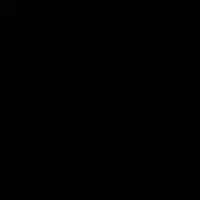 بچه گربه