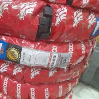 هندا۲۵۰، ،XL. XR مدل۱۹۸۳|موتورسیکلت|تهران, گمرک|دیوار