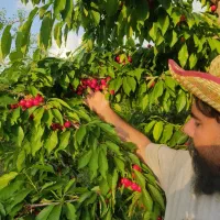 هزار متر باغ شوراب صغیر با اتاق فنس کشی شده