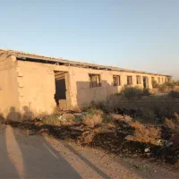 ۲۵۰۰ متر سند زمین گاوداری صنعتی