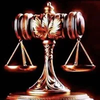 وکیل پایه یک دادگستری و مشاور حقوقی
