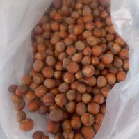 فندوق  تازه برای اشکور