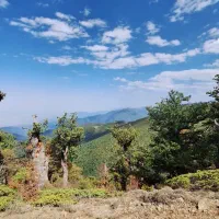 زمین مسکونی در روستای زیبای وطت|فروش زمین و ملک کلنگی|آزادشهر, |دیوار
