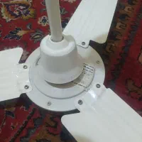 پنکه ای سقفی در حد نو