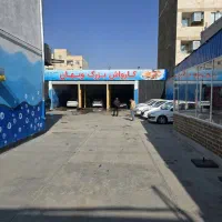 نیروی کار در کارواش