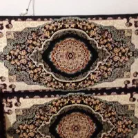 دوجفت پشتی نو